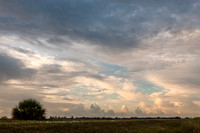 Loxahatchee Morning Clouds