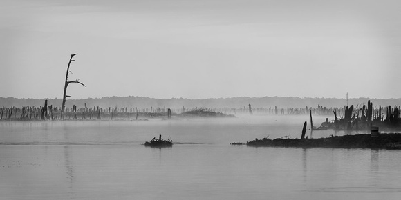 Ocklawaha-2019-1206-209