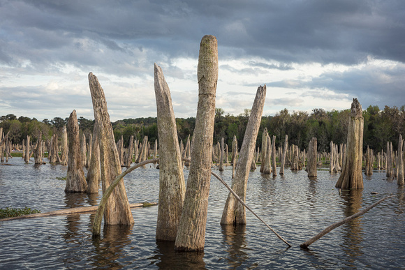 Ocklawaha-2020-0223-1157