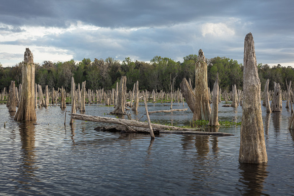 Ocklawaha-2020-0223-1158