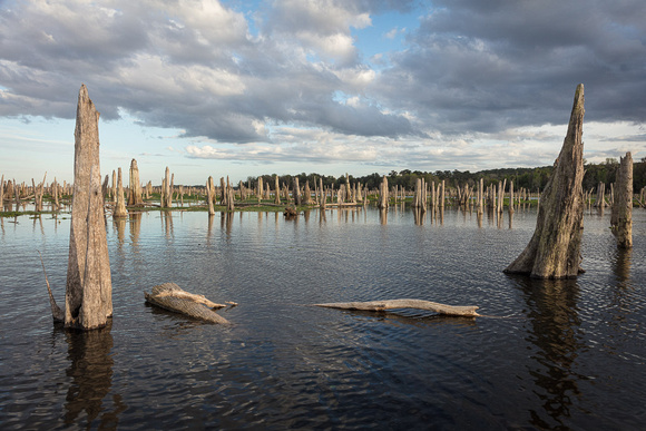 Ocklawaha-2020-0223-1150