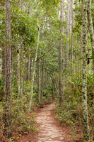 Sawmill Slough-2019-0220-214