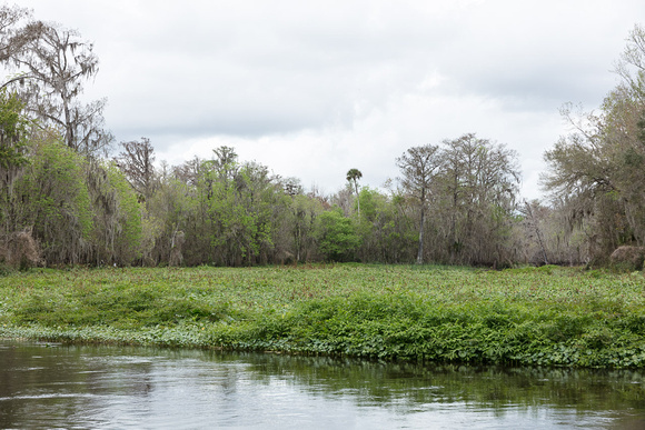 Ocklawaha-2020-0219-643